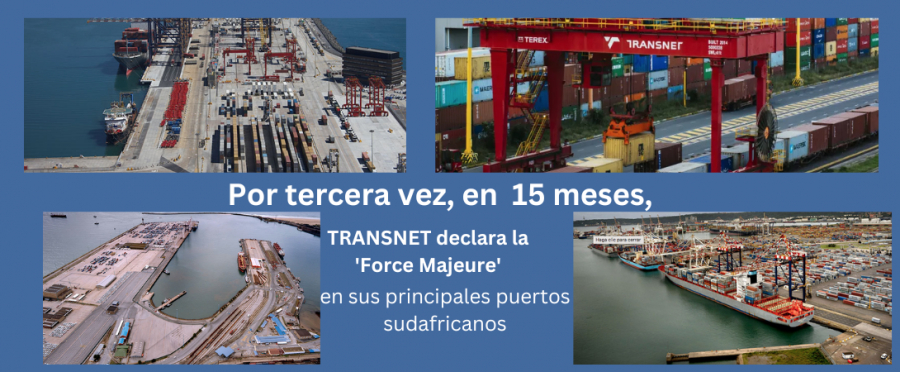 En una actualización para clientes del 10 de octubre, Maersk escribió que las operaciones en el lado marítimo y terrestre en las terminales TPT se han visto afectadas negativamente.